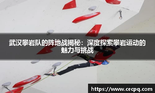 武汉攀岩队的阵地战揭秘：深度探索攀岩运动的魅力与挑战
